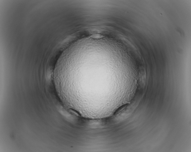 X0000110980574200907022058