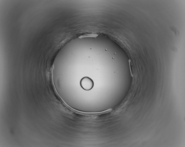 X0000110980576200907022058