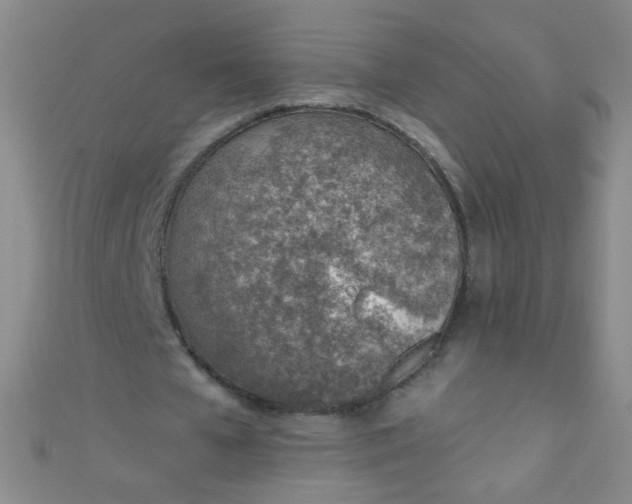 X0000110980577200907022058