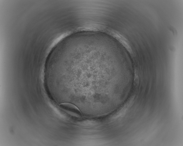 X0000110980578200907022058