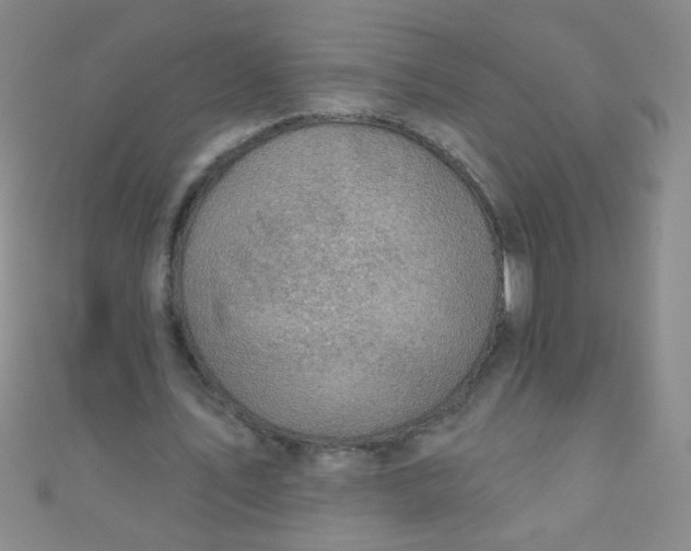 X0000110980579200907022058