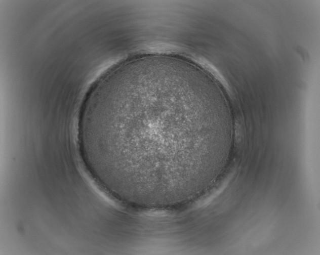 X0000110980581200907022057