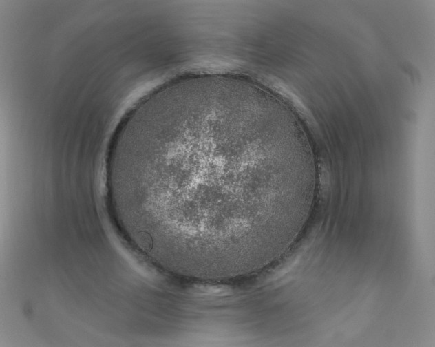 X0000110980582200907022057