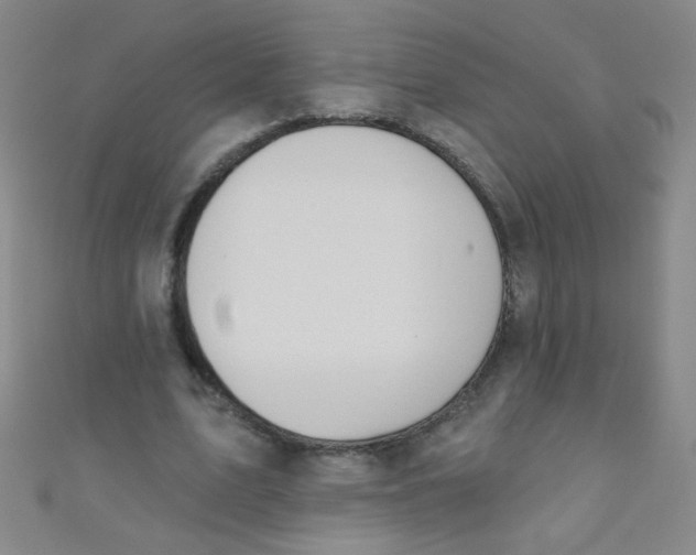 X0000110980583200907022057