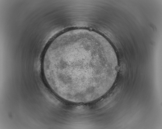 X0000110980584200907022057