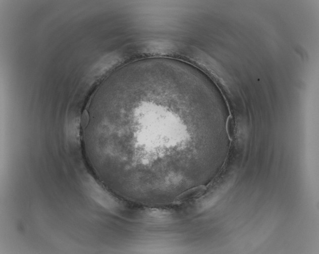 X0000110980585200907022057