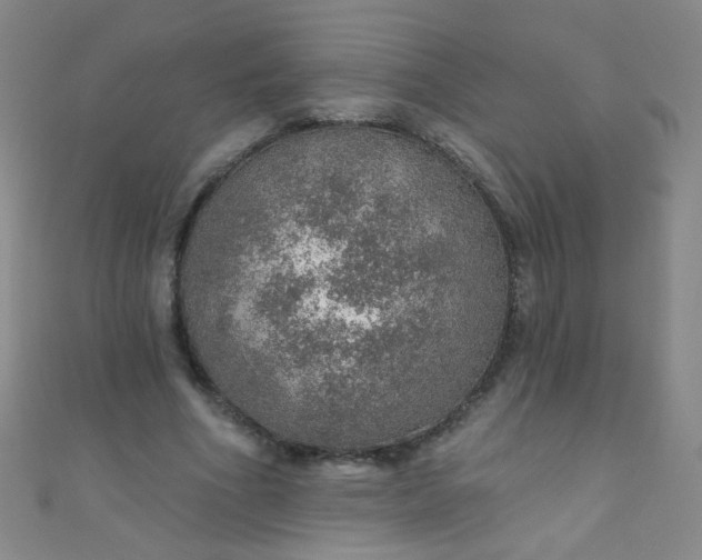 X0000110980586200907022057