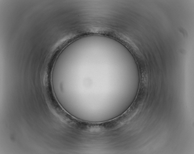 X0000110980587200907022057