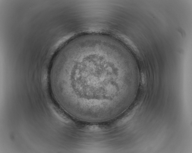 X0000110980588200907022057