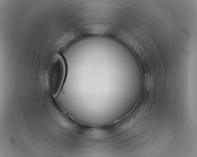 X0000110980589200907022057