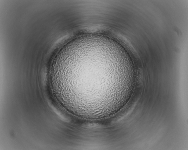 X0000110980590200907022057