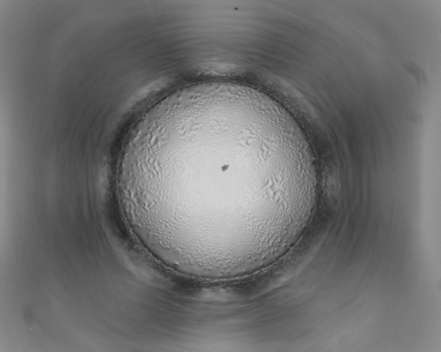 X0000110980591200907022057