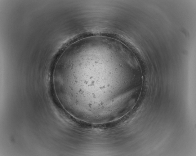 X0000110980592200907022057