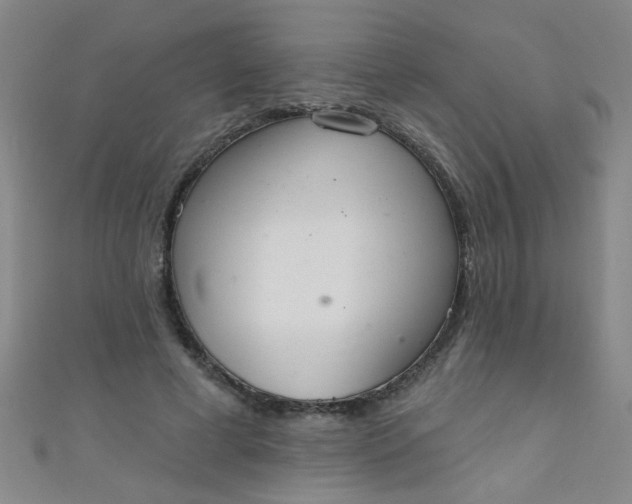 X0000110980593200907022057