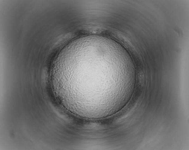 X0000110980594200907022057