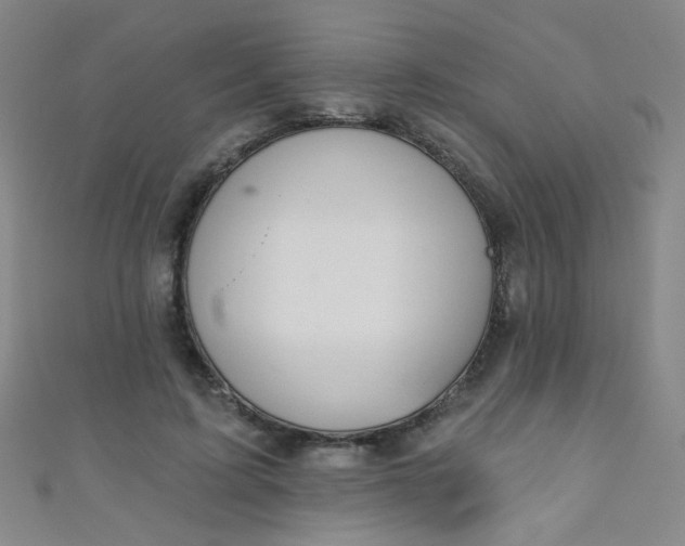 X0000110980595200907022057