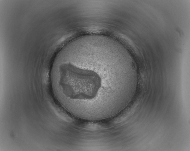 X0000110980596200907022057