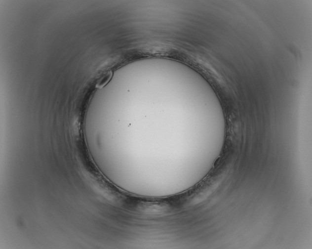 X0000110980597200907022057