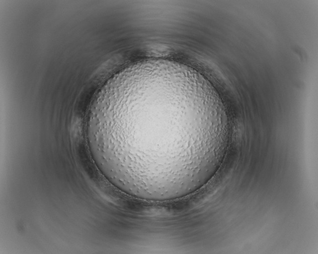 X0000110980598200907022057