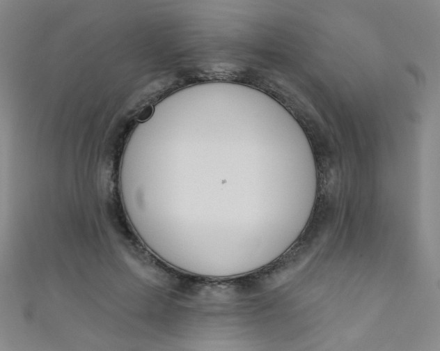 X0000110980599200907022057