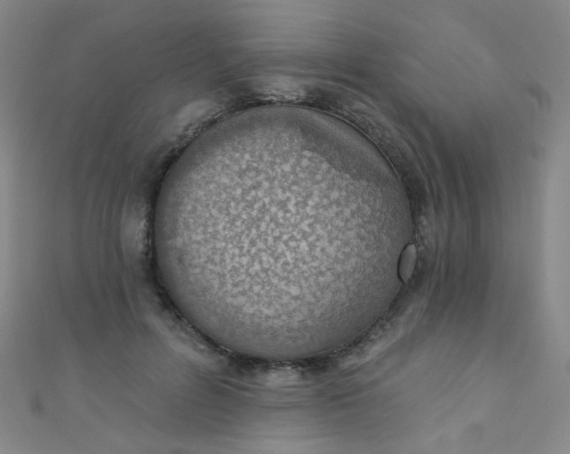 X0000110980600200907022057