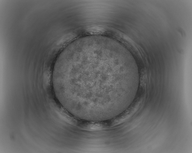 X0000110980604200907022057