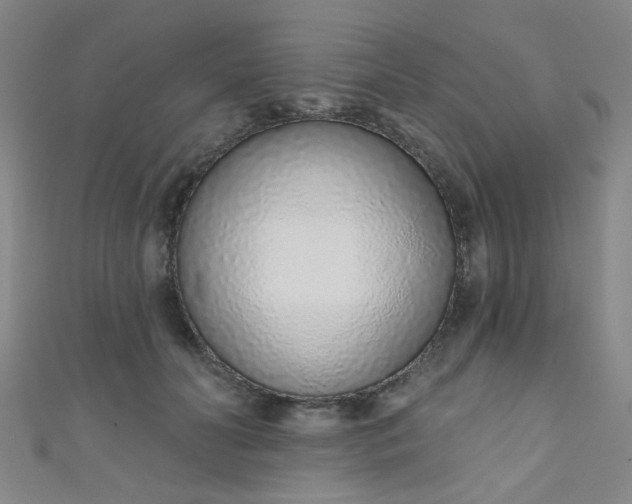 X0000110980606200907022057