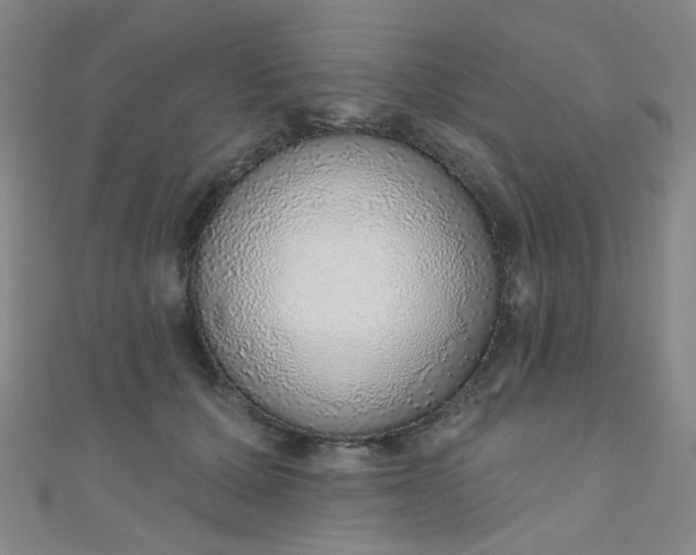 X0000110980607200907022057