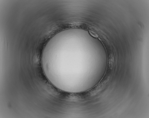 X0000110980608200907022057