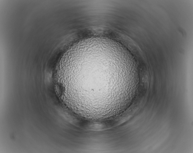 X0000110980610200907022057