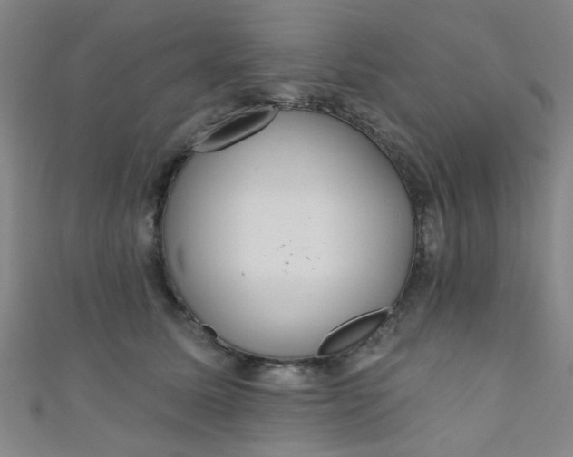 X0000110980611200907022057