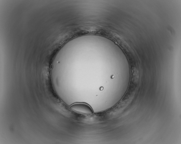 X0000110980612200907022057