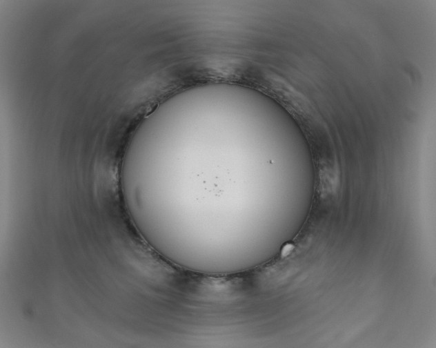 X0000110980613200907022057