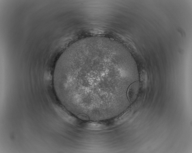 X0000110980614200907022057