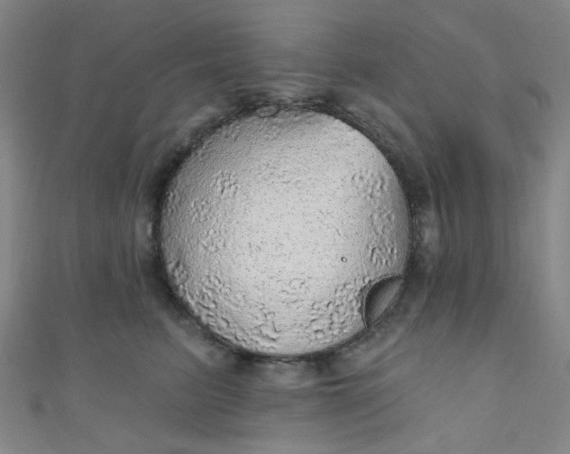 X0000110980615200907022057