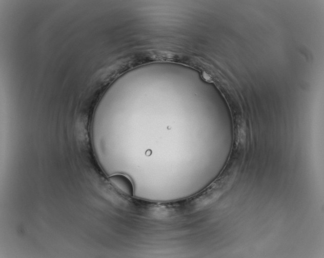 X0000110980616200907022057