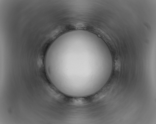 X0000110980618200907022057