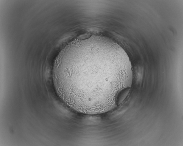 X0000110980619200907022057