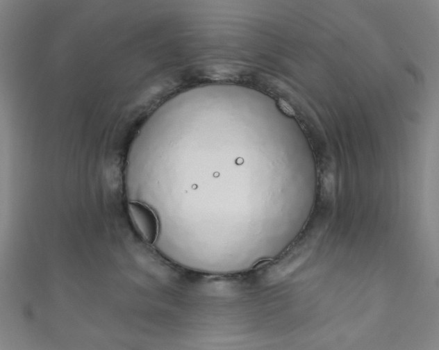 X0000110980620200907022057