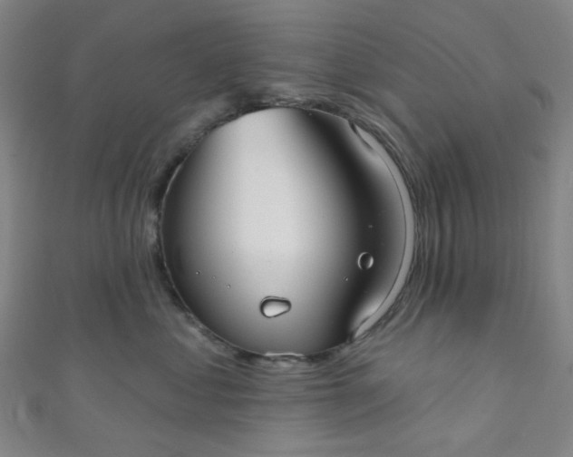 X0000110980621200907022057