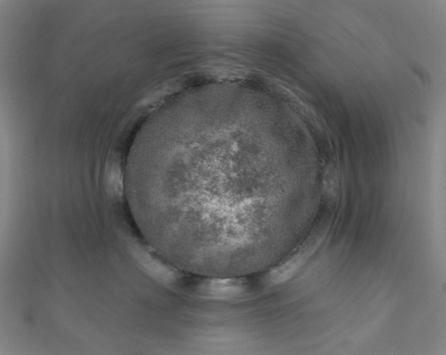 X0000110980622200907022057