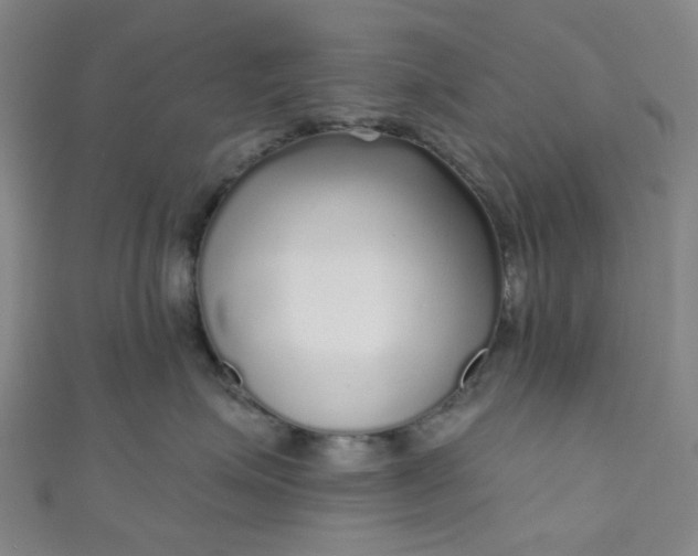 X0000110980623200907022057