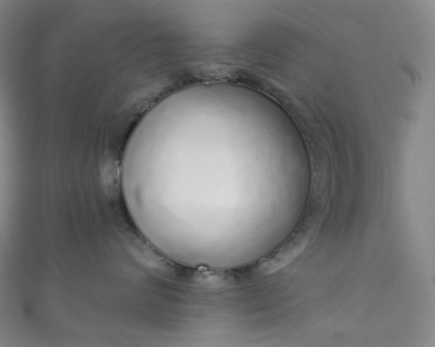 X0000110980624200907022057