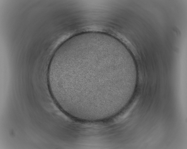 X0000110980625200907022056