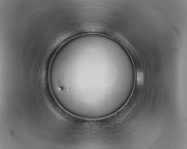 X0000110980627200907022056