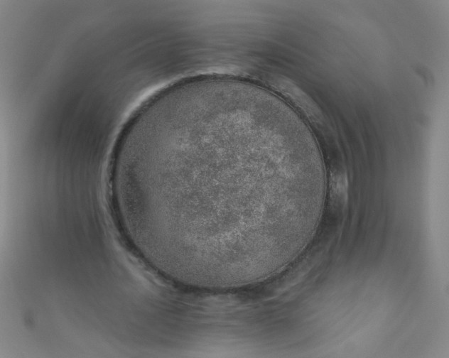 X0000110980628200907022056