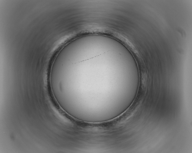 X0000110980629200907022056