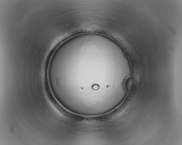 X0000110980630200907022056