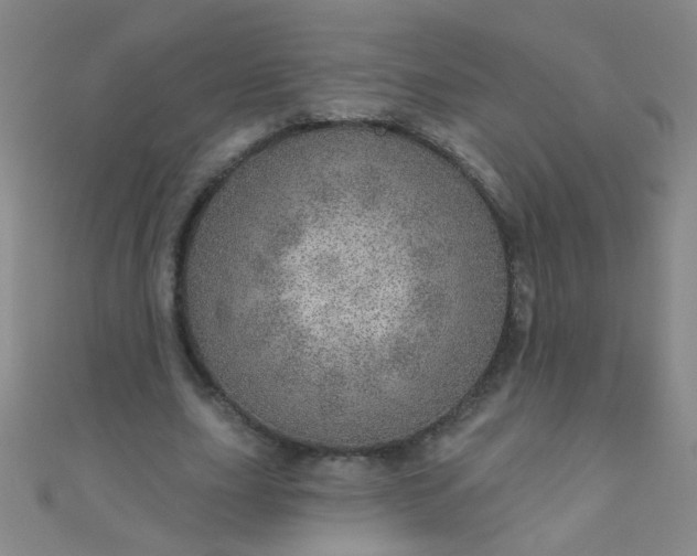 X0000110980631200907022056