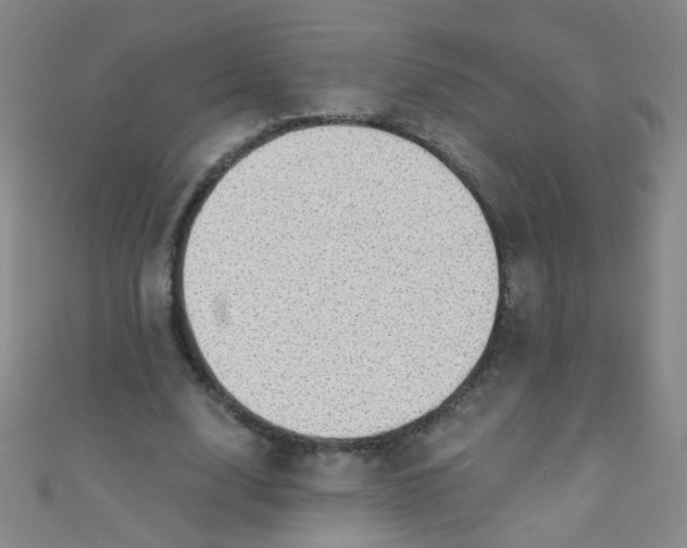 X0000110980632200907022056